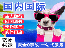 塔城千泉机场邮寄国际宠物托运 【国